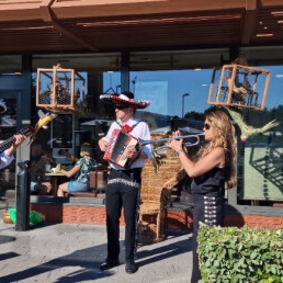 Mariachi Express Serenate trio