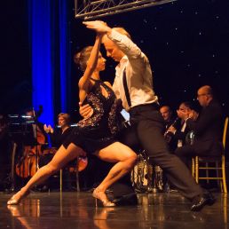 Dance duo: tango, classical, modern