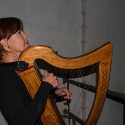 Troubadour harp