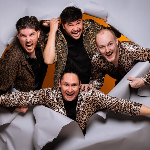 Band Ankeveen  (NL) The Stickers Coverband met Allround DJ