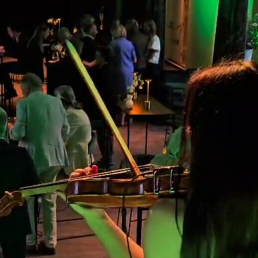 Violist Bree  (BE) Vioolmuziek: Live looping