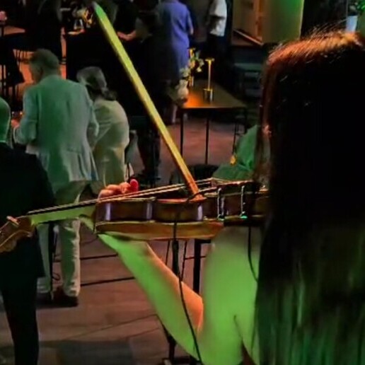 Violinist Bree  (BE) Violin Music: Live Looping