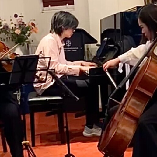 Muzikant overig Tilburg  (NL) Era Trio - piano, violin, cello