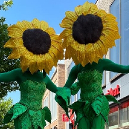 Dansende Zonnebloemen op stelten