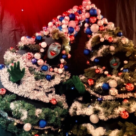 Danser Den Haag  (NL) Dansende Kerstbomen