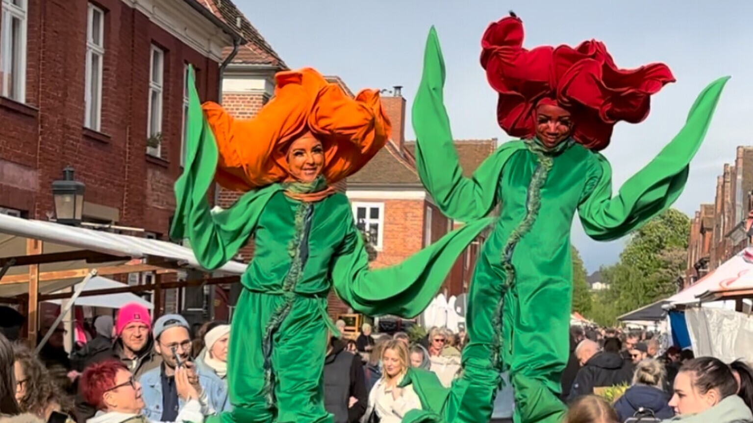 Tulpen op stelten