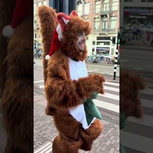 Animatie Den Haag  (NL) Springende Eekhoorntjes – Herfst & Winte