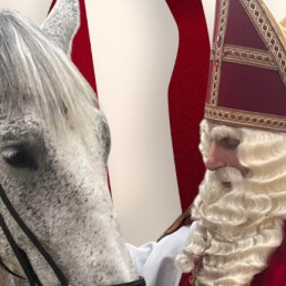 Karakter/Verkleed Heinenoord  (NL) Sinterklaas (Zonder pieten),