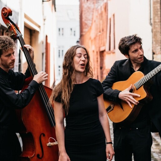 Band Lessines  (BE) La source qui chante - Franse chansons