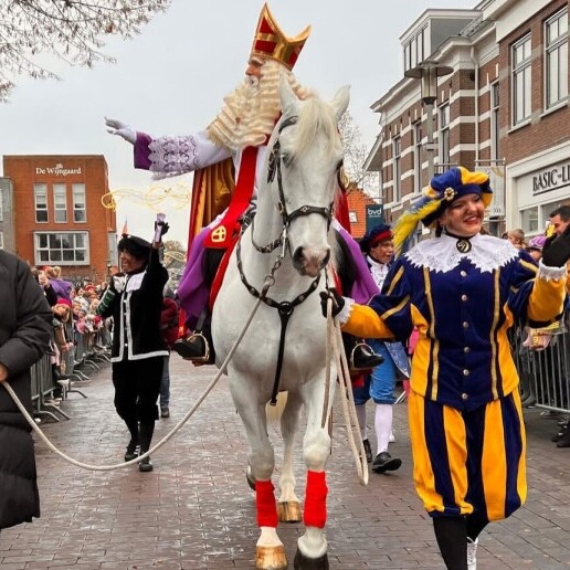 Actor Wageningen  (NL) Professional Sinterklaas