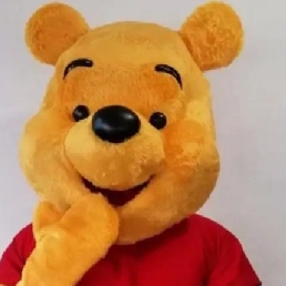 Karakter/Verkleed Hoevelaken  (NL) Winnie the pooh op bezoek lang