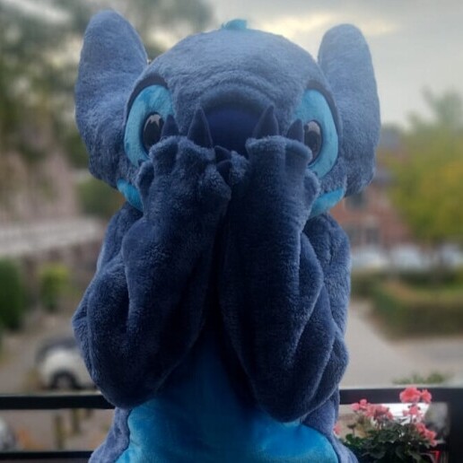 Character/Mascott Hoevelaken  (NL) Stitch op bezoek kort