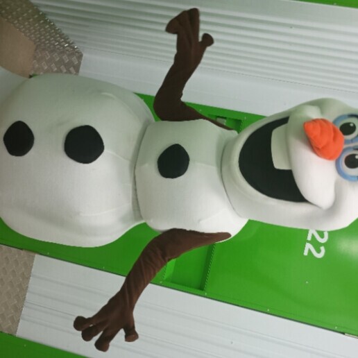 Olaf de sneeuwpop op bezoek