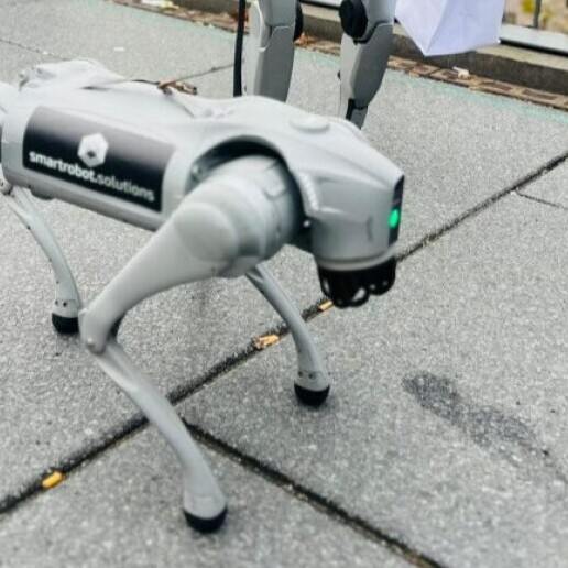 Speaker Heino  (NL) Ai Humanoids are coming!