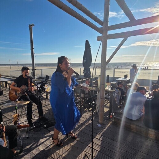 Band Druten  (NL) Acoustic live band | Naomi Vischer