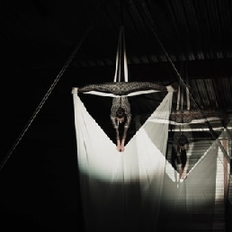 Aerial Hoop