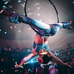 Aerial Hoop