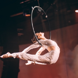 Aerial Hoop