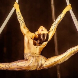 Aerial Silk act