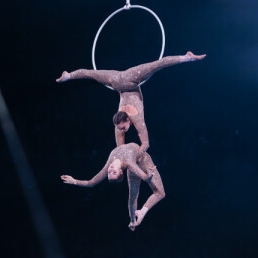 Acrobaat Rotterdam  (NL) Duo aerial hoop act