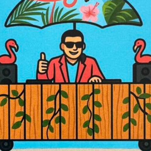 DJ Tilburg  (NL) Walking Summer DJ