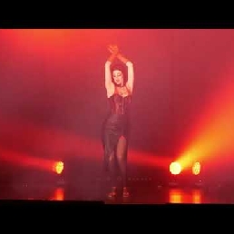 Femme Fatale - Burlesque Act