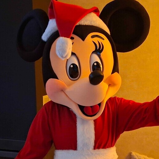 Character/Mascott Enschede  (NL) Meet & Greet / Minnie Christmas Mascot