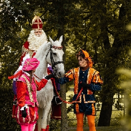 Het echte paard van Sinterklaas