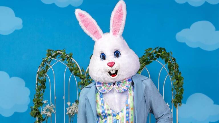 Renting the real Easter Bunny