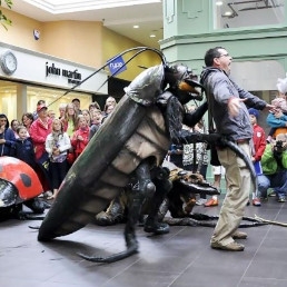 Event show Amsterdam  (NL) Big Bugs Show