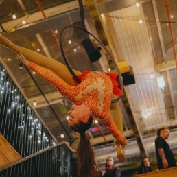 Aerial hoop - een vliegende circus show