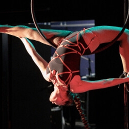 Aerial hoop - een vliegende circus show