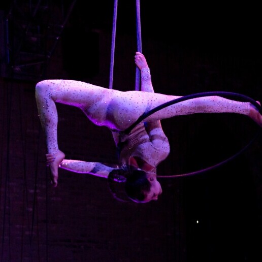 Acrobaat Leiden  (NL) Aerial hoop - een vliegende kerstshow