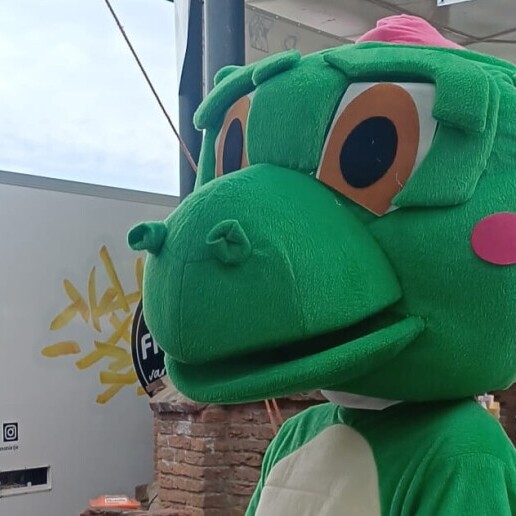Karakter/Verkleed Nijverdal  (NL) Draakjes Mascottes