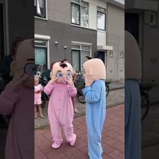 Character/Mascott Nijverdal  (NL) Gender Reveal Mascot