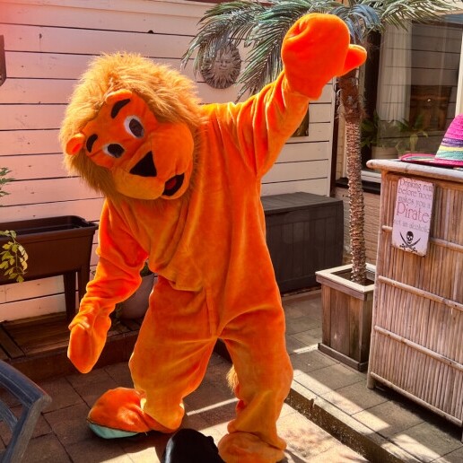 Karakter/Verkleed Nijverdal  (NL) Oranje Leeuw Mascotte