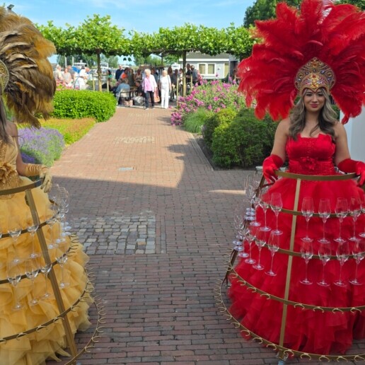 Animatie Veldhoven  (NL) Champagne dames