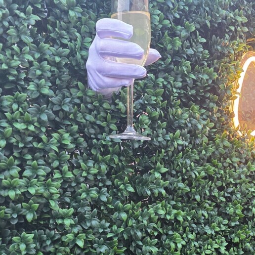 Actor Veldhoven  (NL) RING FOR CHAMPAGNE