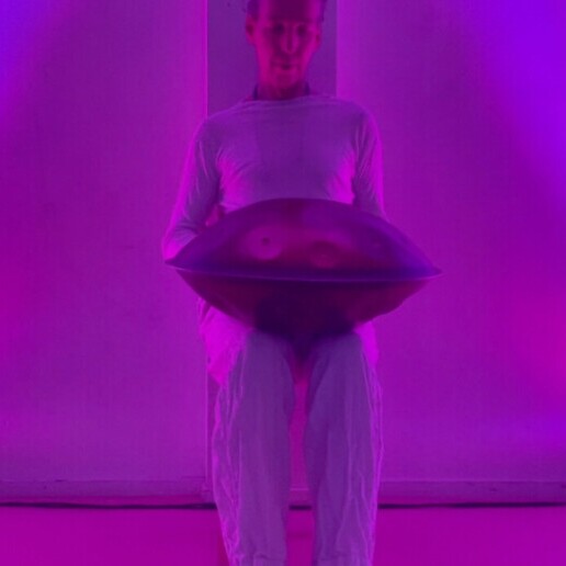 Muzikant overig Rotterdam  (NL) Live HandPan of HandPan muziek