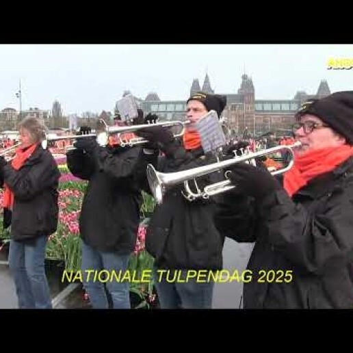 Dweilorkest de Wallenkraaiers