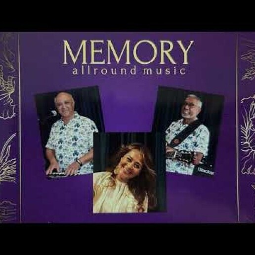 Band Sint Pancras  (NL) Coverband | Trio MEMORY