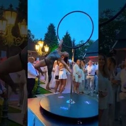 Acrobatic Lollipop Performance