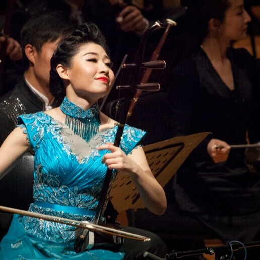 Musician other Rotterdam  (NL) Chinese Er Hu (Violin)