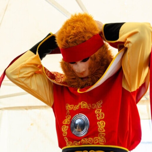 Character/Mascott Rotterdam  (NL) Chinese Monkey King act