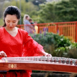 Chinese Guzheng