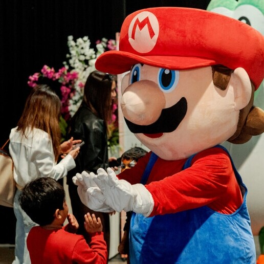 Character/Mascott Rotterdam  (NL) Super Mario Mascot