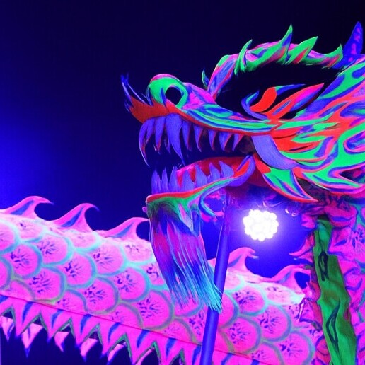 Event show Rotterdam  (NL) LED Dragon Dance