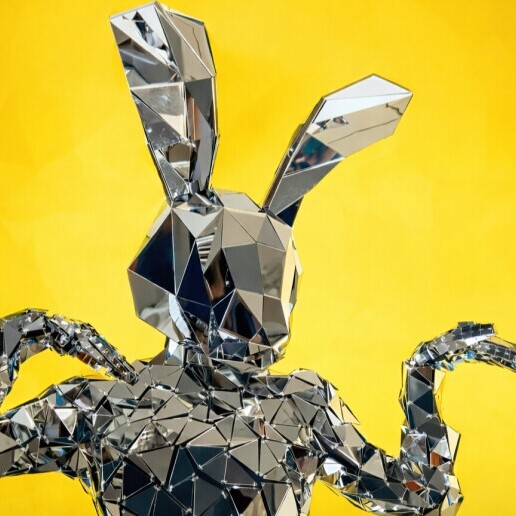 Danser Rotterdam  (NL) Mirror Paashazen | Paas Act (Duo)