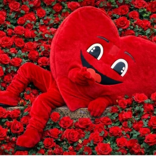 Karakter/Verkleed Rotterdam  (NL) Hartje Mascotte | Valentijnsdag