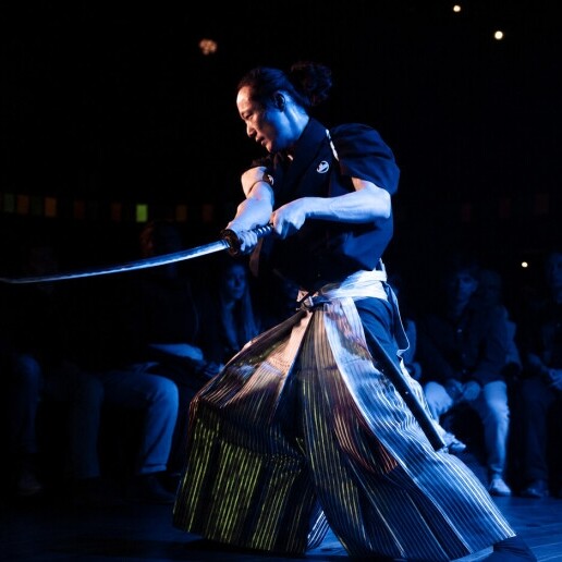 Event show Rotterdam  (NL) Japanse Entertainment
